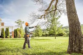 Best Utility Line Clearance  in Wellington, CO