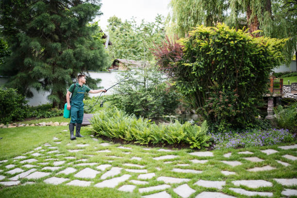 Best Organic Lawn Care Solutions  in Wellington, CO